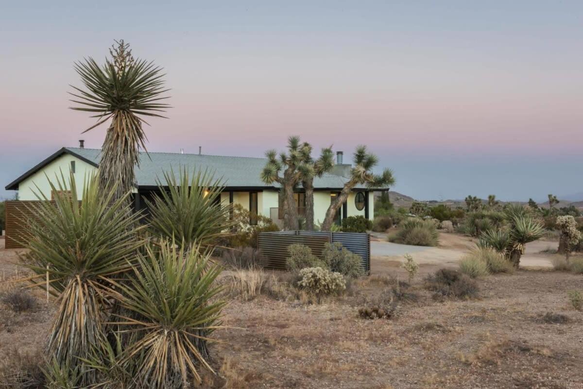 Yucca Hut - Design Forward Oasis Near Joshua Tree Villa Exterior photo