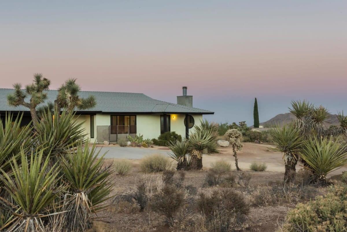 Yucca Hut - Design Forward Oasis Near Joshua Tree Villa Exterior photo