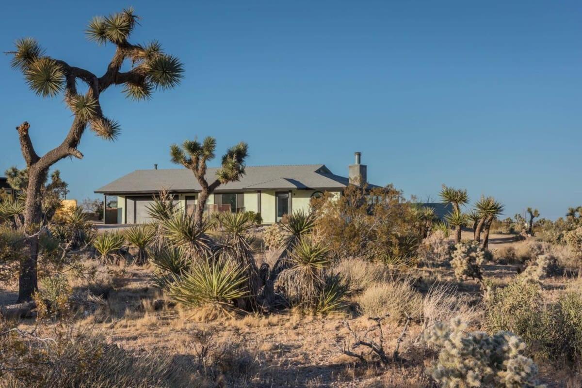 Yucca Hut - Design Forward Oasis Near Joshua Tree Villa Exterior photo